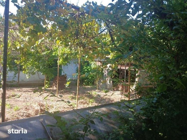 Teren intravilan cu casa si anexe - 3