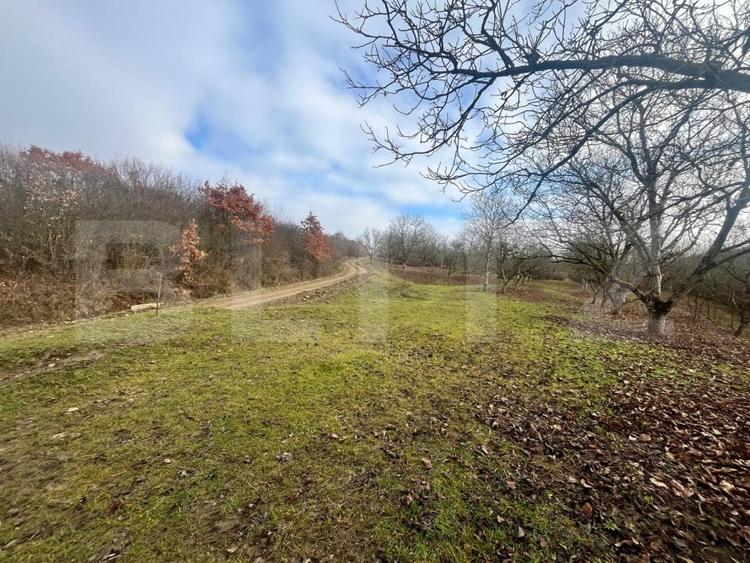 Teren extravilan, 4 hectare, langa livada de mere Ghinda - 1