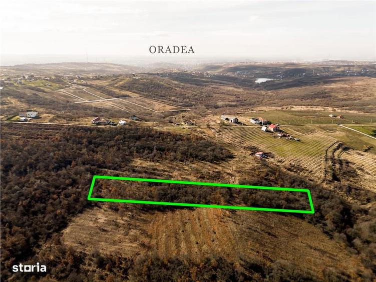 Reco Teren ideal pentru investitii- Saldabagiu de Munte - 5