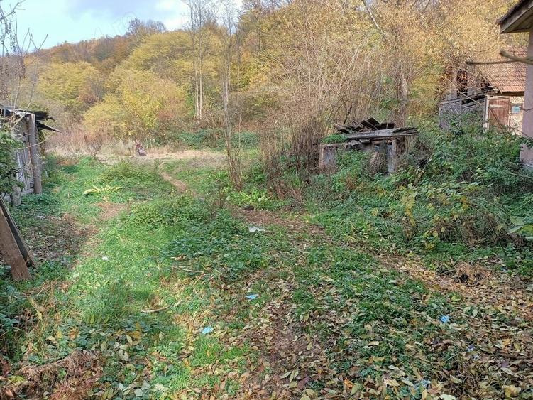 Casa in Dognecea - 2