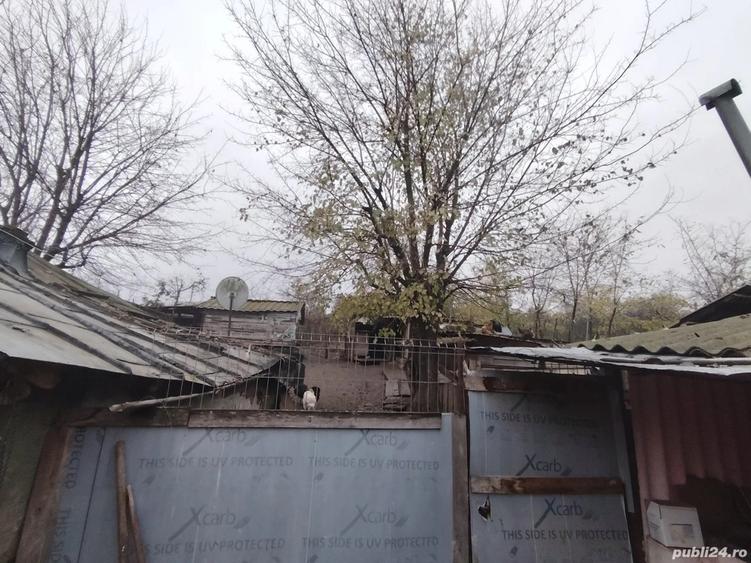 Proprietate cu casa ?i teren generos - 6