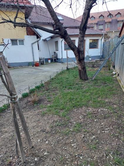 Vand casa langa River Plaza Mall din Rm.Valcea - 11