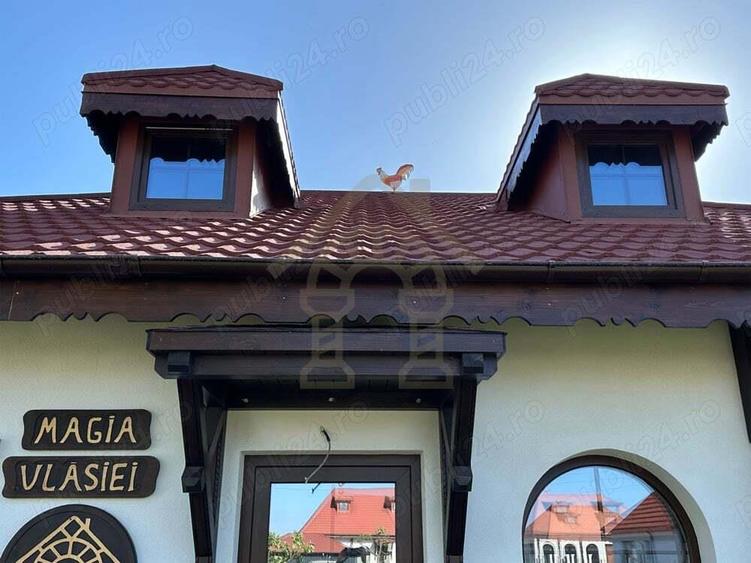 Vila Magia Vlasiei Lipita de Padure cu Gradina 540 m2 - 8