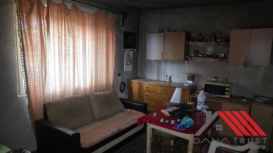 Topolovățu Mare – Casa si Teren 1683 mp - 48.500 euro - 14