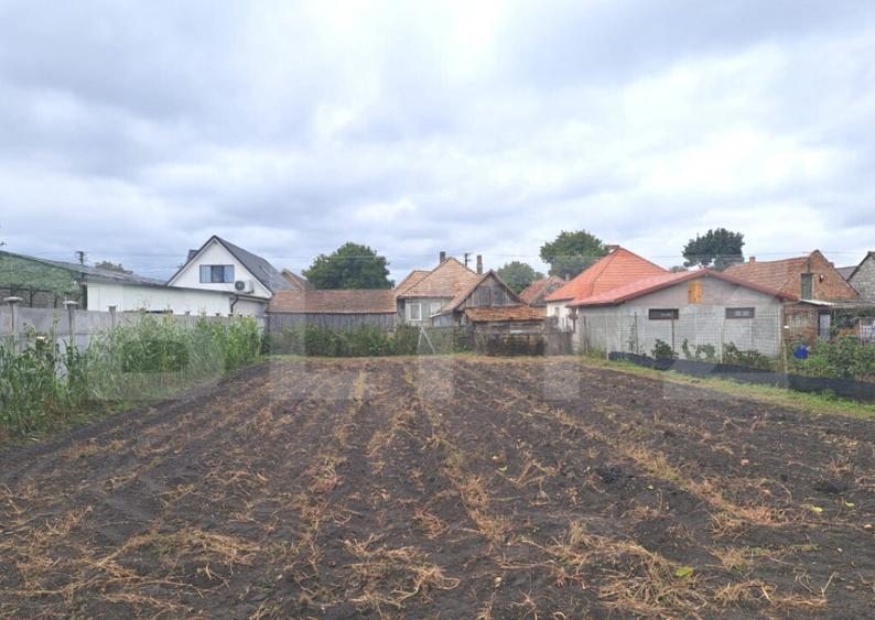 Vand casa cu teren generos Halchiu, aproape de Bra?o - 4