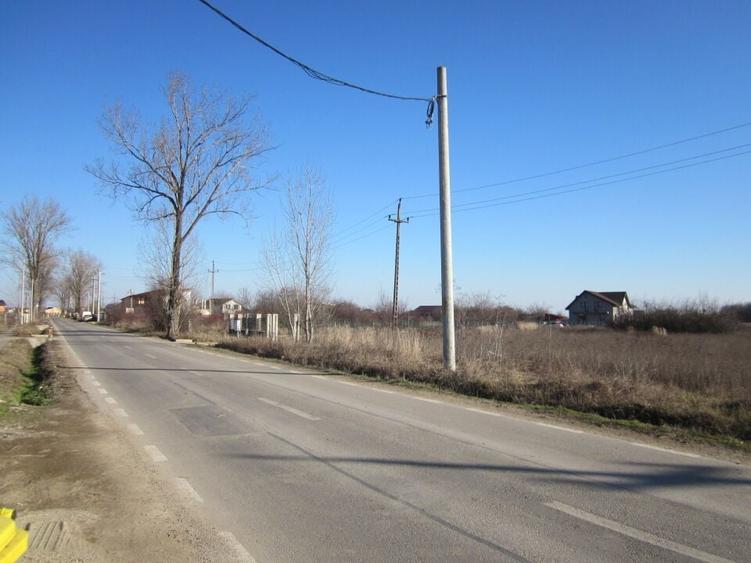 Teghes-Padurarului - 11