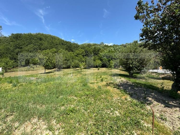 Casa cu 2 camere 53 mp in Lesnic, COMISION 0 PENTRU CUMPARATOR - 9