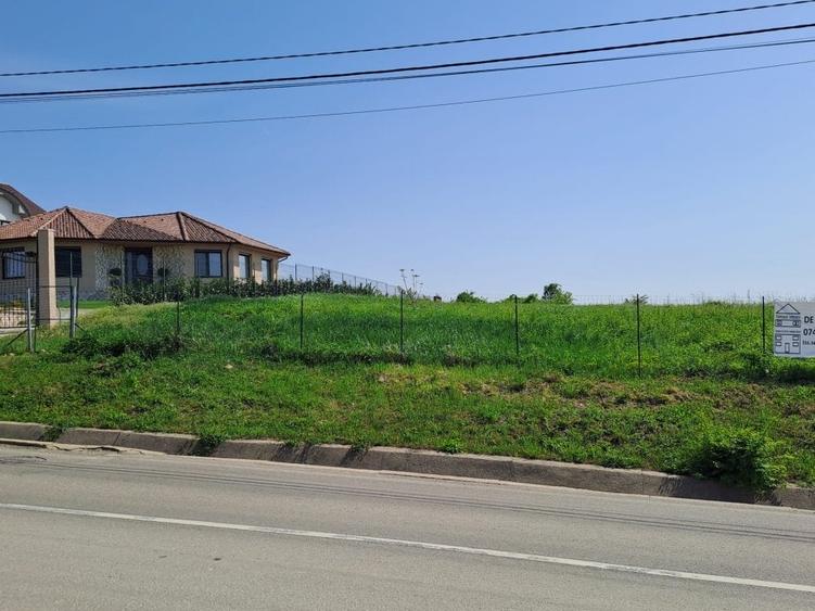 Teren intravilan pentru investitii - 3