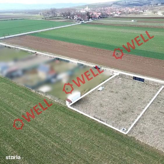 Teren intravilan de vanzare in Anghelu?! - 5