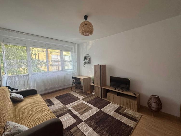 Ofer spre inchiriere ap 1 camera Podu Ros - 3