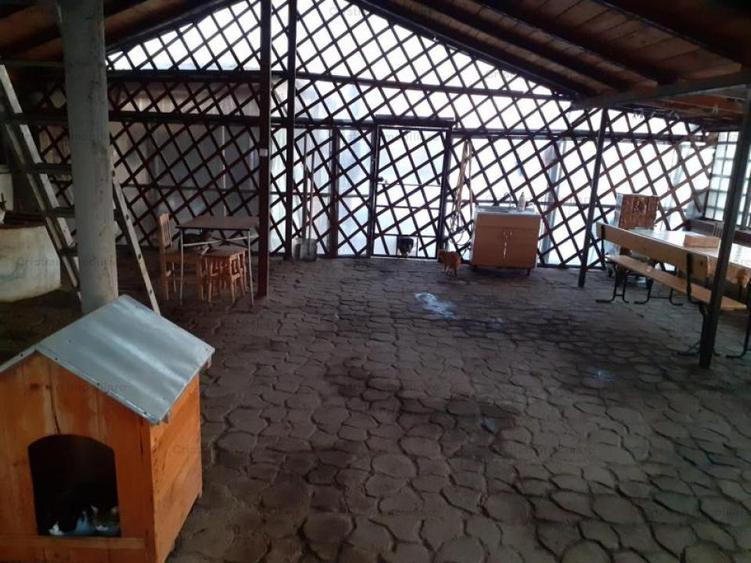 Casa 2 camere 80mp construiti Cazasu 5000 mp teren - 10