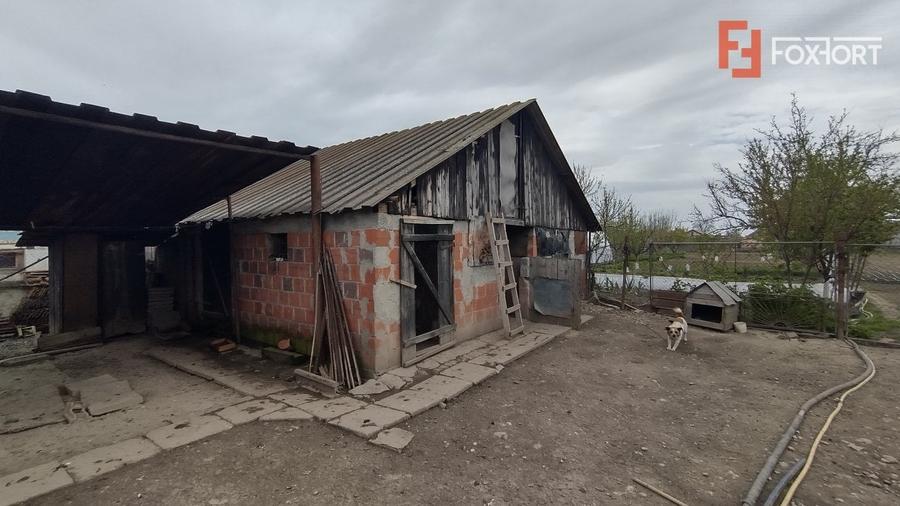 Casa individuala 3 camere, Sanmihaiu Roman - Anexe, 1062 mp teren - 12