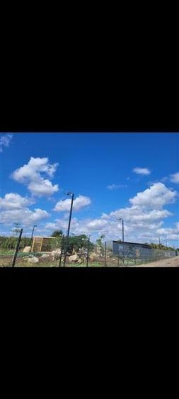 Viitorul Tau Incepe Aici - Teren de 505 mp Soseaua Constantei spre Cumpana - 2