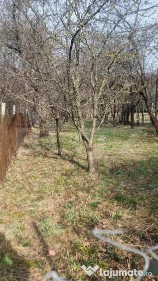 2 CORPURI DE CASA SI 3800 MP TEREN IN BREAZA Prahova - 4