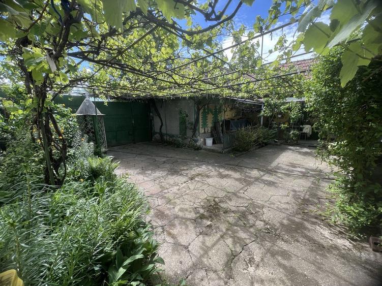 Casa la tara - 23km de Sibiu + teren 2300mp, sat Rusi - 4