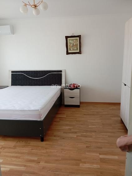 Piata Victoriei - Nicolae Titulescu