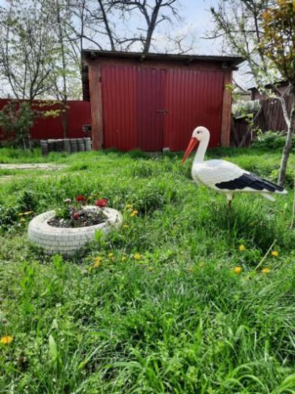 Vând casă  / curte  - 7