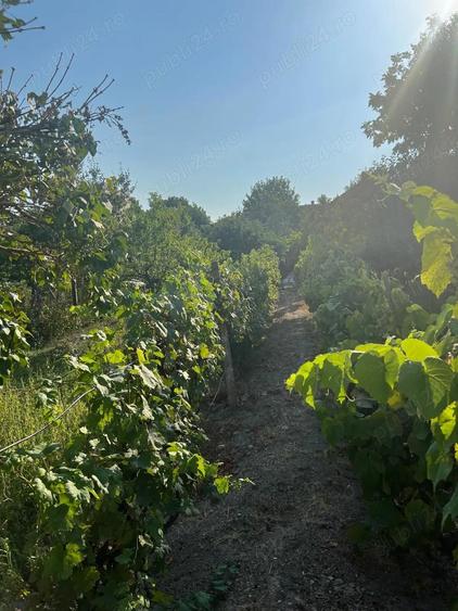 Casa individuala - 4