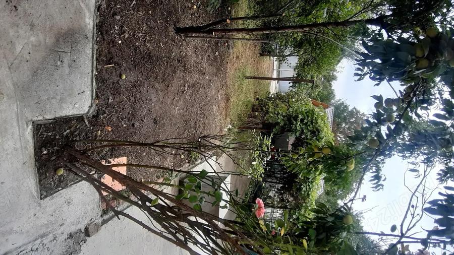 Casa in Poiana Campina (Zona Centrala) - 8