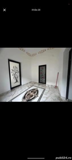 Casa de vinzare Peciu Nou - 2