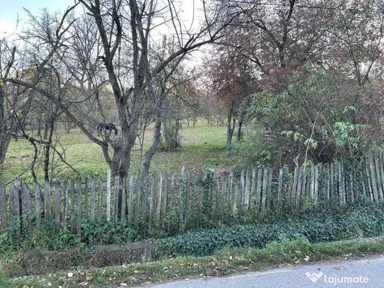 Teren intravilan 2.050 mp Comuna Izvoarele, jude?ul Pra - 7