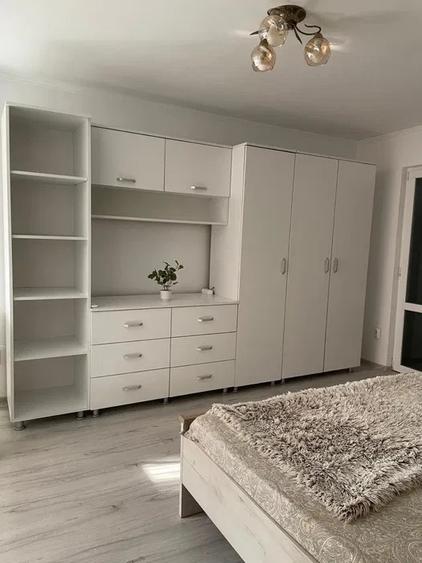 Apartament cu 1 camera, etajul 1, zona Podu de Piatra - 2