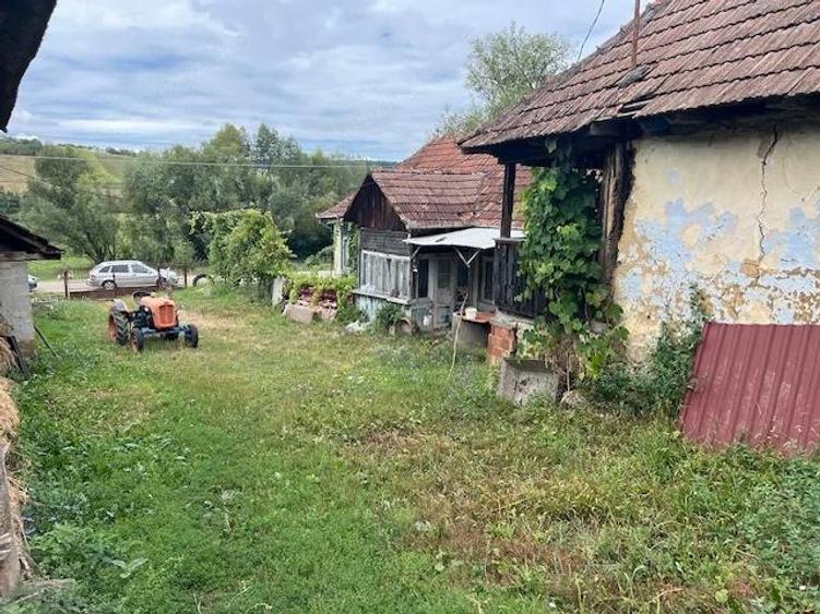 Casa si anexe, teren 5000 mp Mineu, Salaj - 5