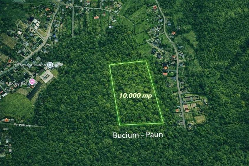 Teren intravilan 10.000 mp , Bucium ,Paun, zona linistita - 1