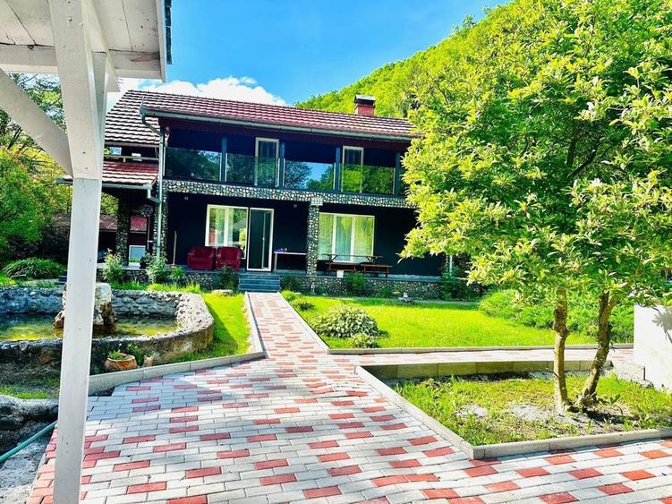 Vand casa de vacanta cu piscina si vibromasaj - 6