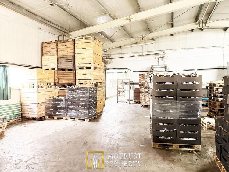 Hala industrială de vanzare Arad 540 mp, depozitare la rece, acces TIR - 7