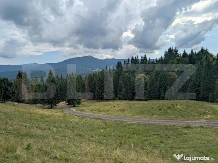 Teren intravilan de vanzare in Colibi?a oportunitate - 3