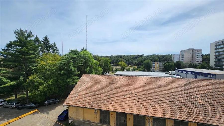 Apartament 1 camera, Mureseni, Gh. Doja, zona Profi - 4