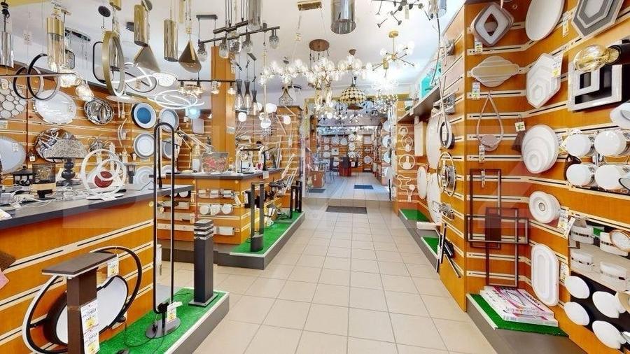 Descopera Locatia Ideala pentru Afacerea si Locuinta Ta - 2