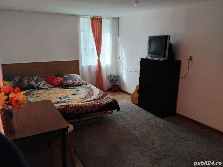 vand casa in Nadlac - 3
