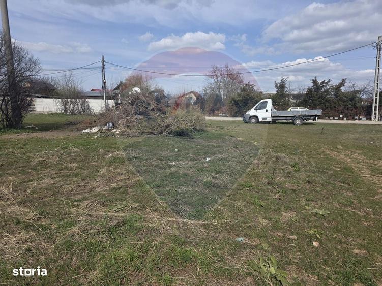 Teren Balotesti Dumbraveni 16.700 mp /8350 mp /loturi 500 mp - 1