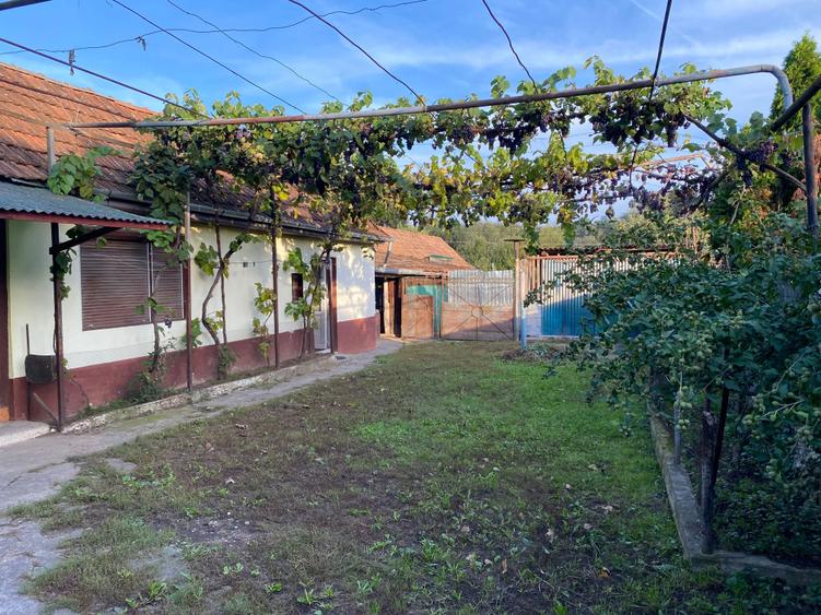 Casa vanzare Vadul-Crisului (locatie superba/oportunitate rara) - 1