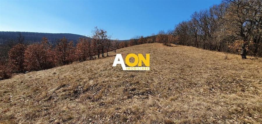 Teren ideal pentru cabana 4165 mp langa padure zona Valea Popii - 1