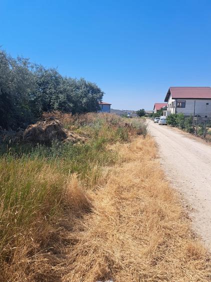 Teren linga strada Ciresilor - 3