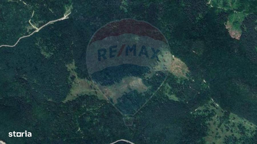 COMISION 0% | Teren 23.000 mp | Extravilan | Rasnov - Paraul rece - 4