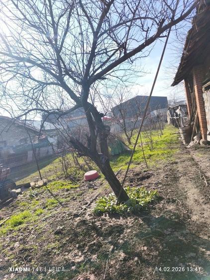 Vanzare Casa batraneasca Colibasi jud Giurgiu - 5