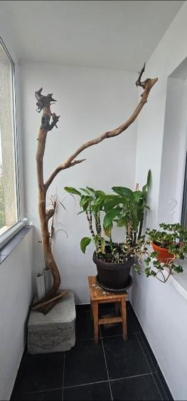 Apartament de vânzare – Zona Badea Cârțan - 6