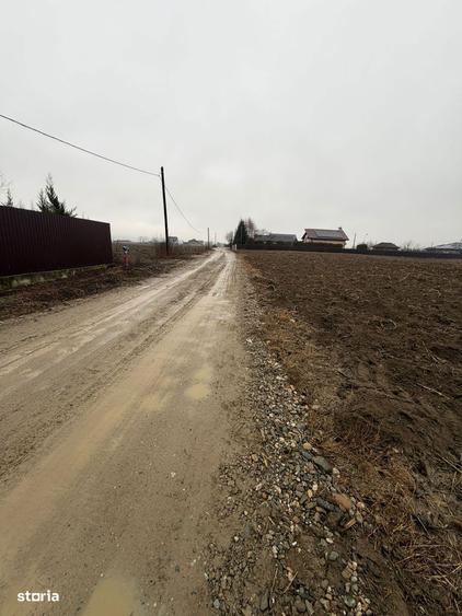 Vand Teren Hemeiusi sat Liliecipe strada prelungirea crinului - 1