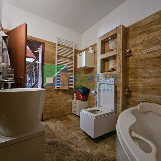 Pozitionat excelent in apropiere de Hotel Mercure. - 13