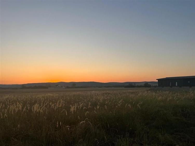 RECO Teren intravilan pentru casa Osorhei cu PUZ - 6