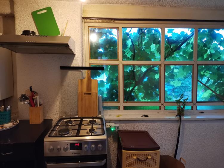 Casa Individuala Gusterita - 4