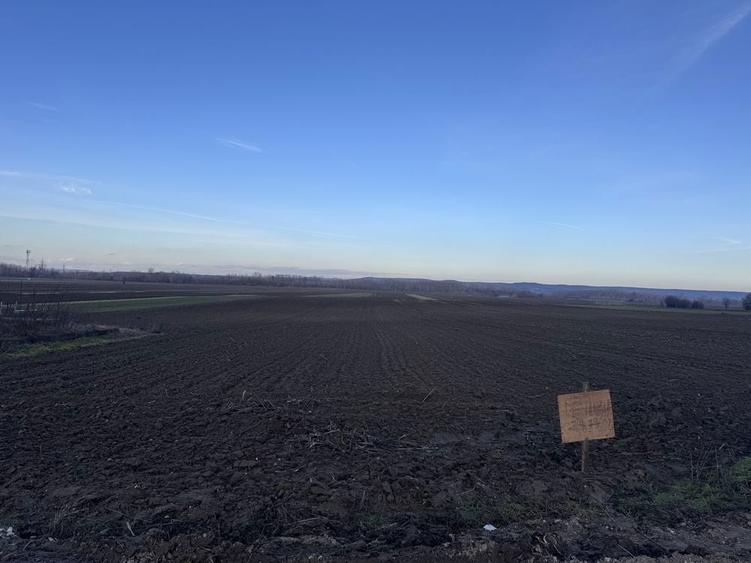 Teren de vanzare - 2