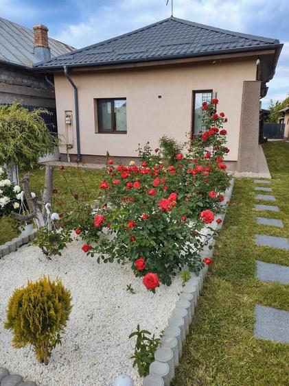 Casa de vanzare in Sacueni Dambovita - 1