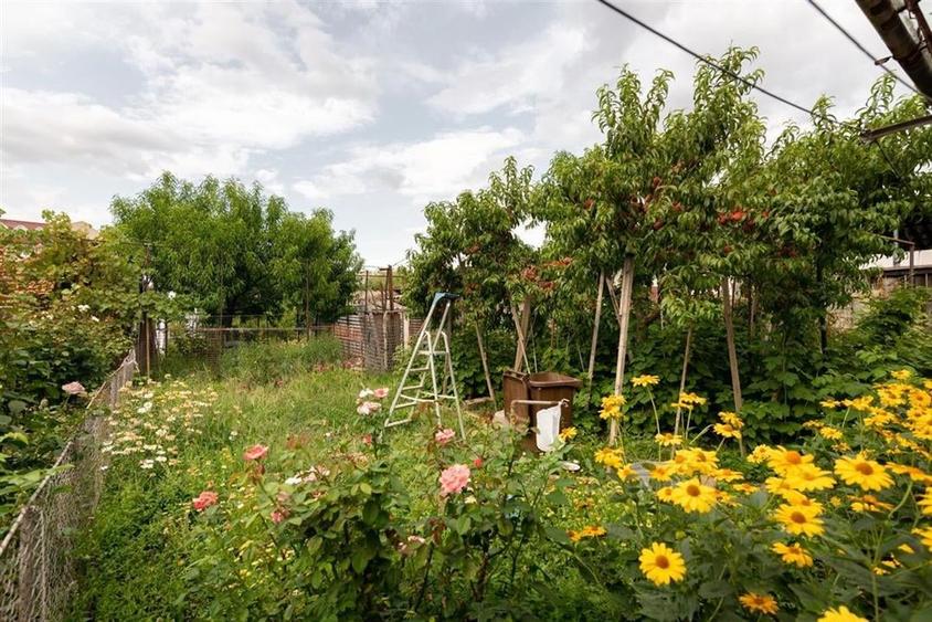 RECO Casa de vanzare zona Horia - 15