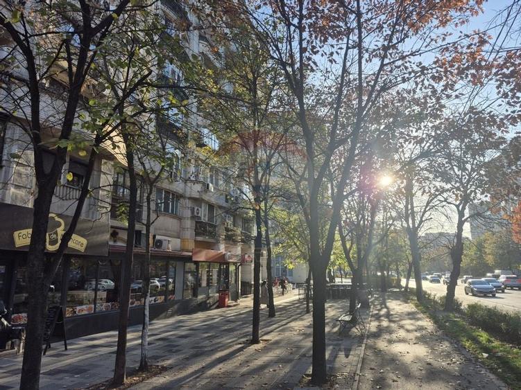 Apartament deosebit de 4 camere zona Decebal - Piata Alba Iulia - 15