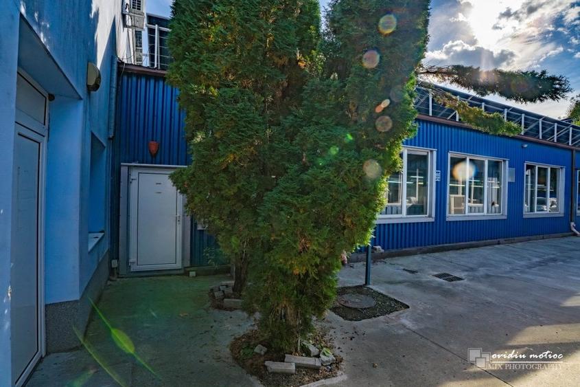 Hale in zona Calea Baciului - 18